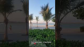 Dubai islands beach ⛱ a Dog beach beachvibes dubaibeaches dogbeach [upl. by Apurk]