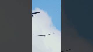 ✈️ Surprising Facts About Gliders [upl. by Ayouqat]