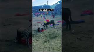 foryou reels trakas luisrconriquez jaripeomexicano mexico [upl. by Ahsym]