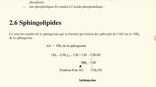 Cours des lipides biochimie structurale الدارجة partie 9 la fin [upl. by Ojeillib521]