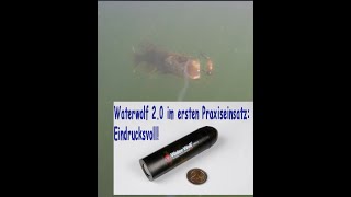 WaterWolf 20 erster Praxiseinsatz Binnen amp Meer [upl. by Birch]