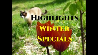 Winter Specials 202223 Gardeners World Highlights from The Little Garden of Monfestino Italy [upl. by Liv270]