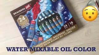 WATER MIXABLE OIL COLOR BRAUBERG ART REVIEW  ОБЗОР НА ВОДОРАЗБАВИМЫЕ МАСЛЯНЫЕ КРАСКИ БРАУБЕРГ 😯 [upl. by Dredi]