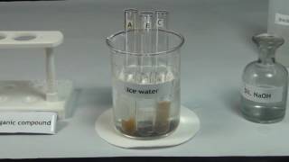 Tests for Amines  MeitY OLabs [upl. by Nahamas]