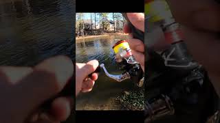 Bobber fishing for bluegill [upl. by Hyde]