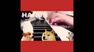 Beginner Piano Practice Month 9  Hanon 38 amp scale fingering practice [upl. by Christye]