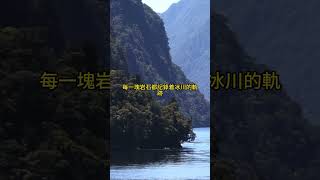 中國唯壹沒有的地貌奇觀⛰️—米爾福德峽灣，世界第八大奇迹，山海交融的絕美樂章，壹生必訪的夢幻之地！ amazing 美景 旅游 景點 风景 travel milford [upl. by Akram]