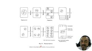 3 Bases físicas de la herencia con audio [upl. by Peih]