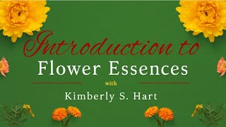 Introduction to Flower Essences with Kimberly S Hart [upl. by Gardie762]