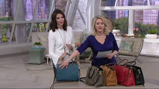 Tignanello Italia Leather Convertible Satchel Handbag  Carson on QVC [upl. by Nagyam]