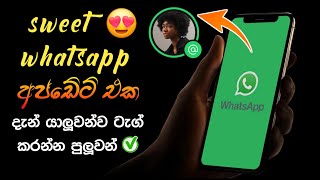 Whatsapp Big Update Sinhala  status Tag Mention and Repost update  simple academy [upl. by Islek]