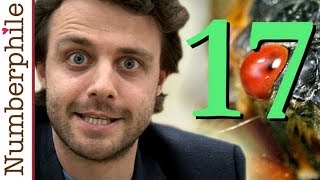 Cicada 17  Numberphile [upl. by Alston]