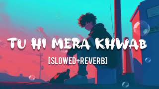 Tu hi mera khwab  slowedreverb  by lofibeats  NEW SONG 2024  chill slowedreverb lofi [upl. by Gilman]