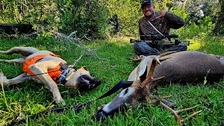 Opening Day success in Florida Archery Deer Hunt Catch Clean Cook sous vide Venison is AMAZING [upl. by Tandie]