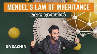 mendels law of inheritance  true breeding plants  knowledge vlogger  malayalam  class 12 [upl. by Coh]