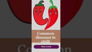 Common diseases in chilli plant [upl. by Chryste]