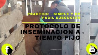 🔴 PROTOCOLO DE IATF SIMPLE Y EFCIENTE DE ALTO IMPACTO PRODUCTIVO PARA LA GANADERIA DE CARNE BOVINA [upl. by Ddart]