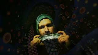 Harmonica Ayahuasca  Yagé  Big Hohner Echo Harp [upl. by Karina]