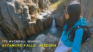 HIKING  SYCAMORE FALLS KAIBAB NATIONAL FOREST WILLIAMS ARIZONA [upl. by Aplihs113]