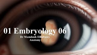 01 Embryology part6 الكفراوي أناتومى Elkafrawy Anatomy Congenital Anomalies [upl. by Klarrisa]