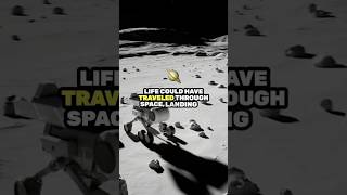 Panspermia Theory youtubeshorts shorts short theory space universe earth astronomy life [upl. by Euginom]