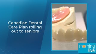 Canadian Dental Care Plan rolling out to seniors [upl. by Aicargatla]