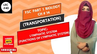 Ch14  Lec  40  Lymphatic System  Function Of Lymphatic System FSc Bio part 1 riffatjahan [upl. by Aloel]