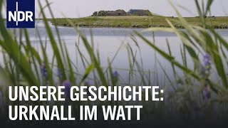 Wattenmeer Als die Umwelt wichtig wurde  Unsere Geschichte  NDR Doku [upl. by Damales]