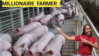 Learn How To Start A PIG Farm BusinessDETAILED  2023 [upl. by Tager]