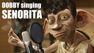 Dobby singing Señorita [upl. by Cnahc]