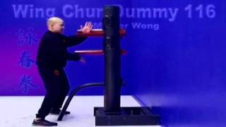 wing chun dummy training wooden dummy  Lesson 1 [upl. by Khoury]