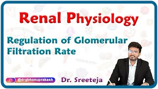 Regulation of Glomerular Filtration Rate  Physiology USMLE Step 1 [upl. by Ybhsa]