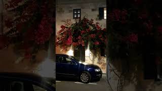 2475 TRAVEL TIME  A Night Walk to Remember at the Village of Lija Part 2 Malta Europe [upl. by Emmuela]