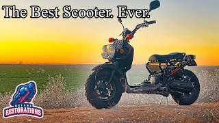 Honda Ruckus NCS50 Ride and Review The BEST Scooter Ever [upl. by Aicemaj258]