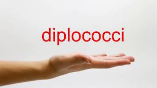 How to Pronounce diplococci  American English [upl. by Georgeanna784]