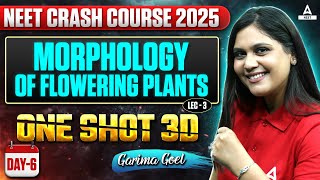 Morphology of Flowering Plants Class 11 One Shot  L3  NEET Crash Course 2025  Garima Goel [upl. by Ahsineb]