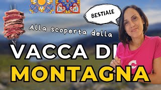 Come vengono allevati la vacca di montagna i cavalli e il suino nero in Sicilia [upl. by Freeborn]