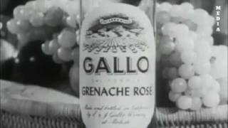 Gallo Wine Commercial  1950s [upl. by Albarran]