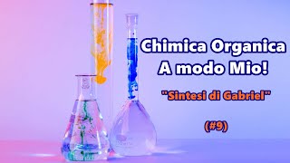 Sintesi di Gabriel  Chimica Organica a Modo Mio 9  Nettuno [upl. by Packton]