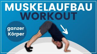 12 Minuten Muskelaufbau Workout ➡️ Stärkende Übungen für den ganzen Körper [upl. by Reis]