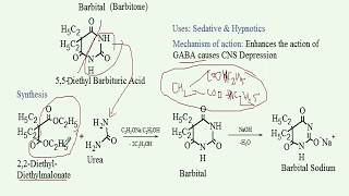 Synthesis of Barbital With reaction mechanisms Medicinal Chemistry GPAT NIPER etc [upl. by Ttemme]