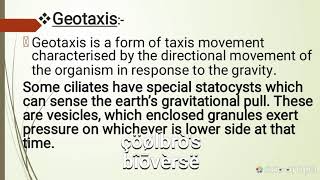 Positive geotaxis and negative phototaxis [upl. by Talyah609]