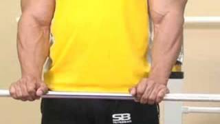 Bodybuilding Exercises  Bodybuilding Forearm Reverse Curl With Straight Bar [upl. by Ahsoyem]