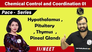 Chemical Control amp Coordination 01  Hypothalamus Pituitary Thymus Pineal Glands  11  NEET [upl. by Jona42]