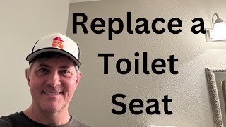 How To Remove and Install a Toilet Seat [upl. by Nwahsud]