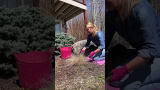 Gardening Quick Tip 5 One Essential Tip For Perfectly Beautiful Ornamental Grasses All Year Long [upl. by Schrader909]