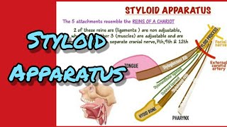 Styloid apparatus [upl. by Eniarol]