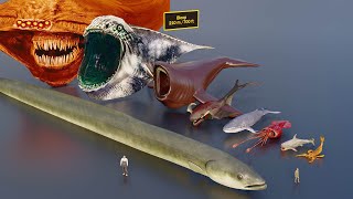 Largest sea creatures size comparison 3D animation animation [upl. by Assilim]