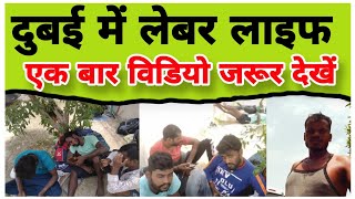 Look at Dubai Labor Life UAE Labor Life How do Indians live in Dubai Dubaijob AshokLLB [upl. by Domel]