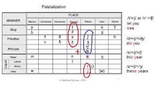 Palatalization in English [upl. by Ecilahs]